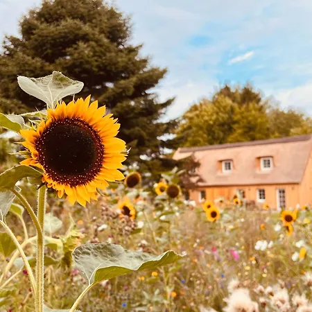 Daire Gartenhaus L - Sommerhaus 54 *